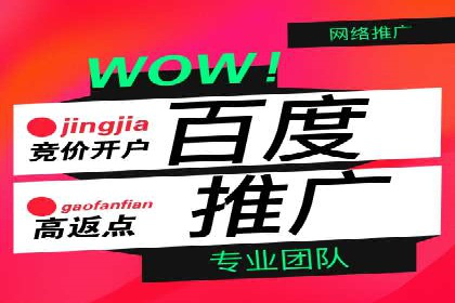 百度推广优化，实战案例展示